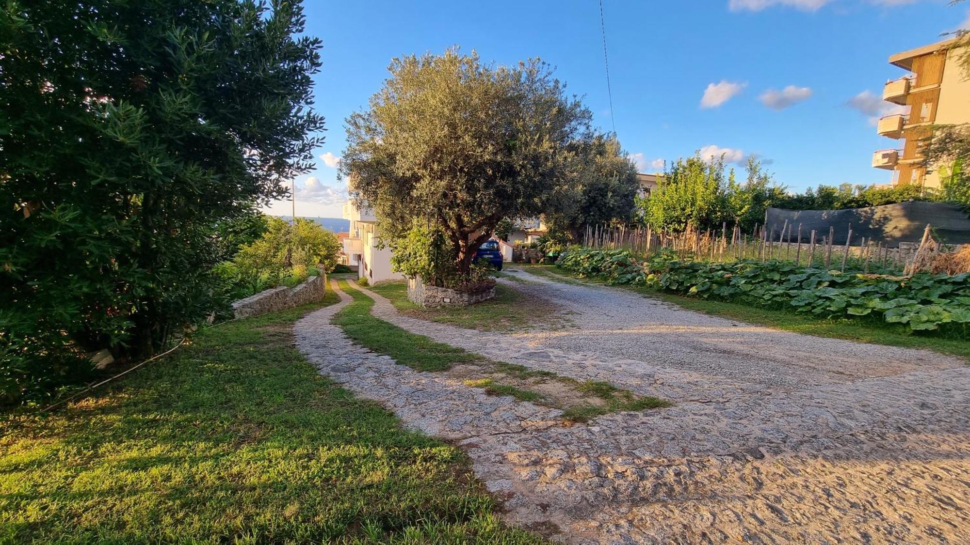 Villa Eugenia 特罗佩阿 外观 照片